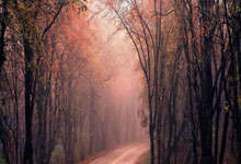 虎扑手机版：[球之夜]孙继海的第二战场.