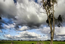 大面积伤病袭来！“全华班”国生死战遇困境.